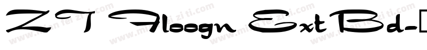 ZT Floogn ExtBd字体转换